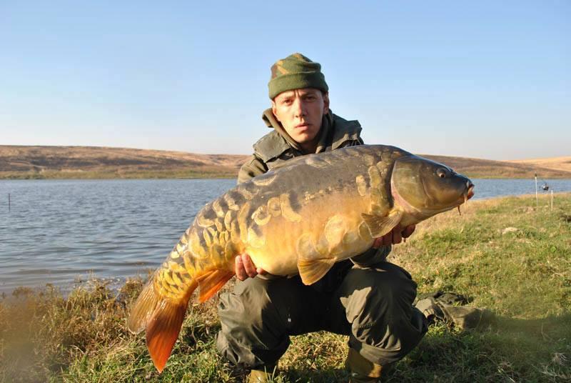 crapi de sarulesti - 9957616582275742382251230285935n.jpg